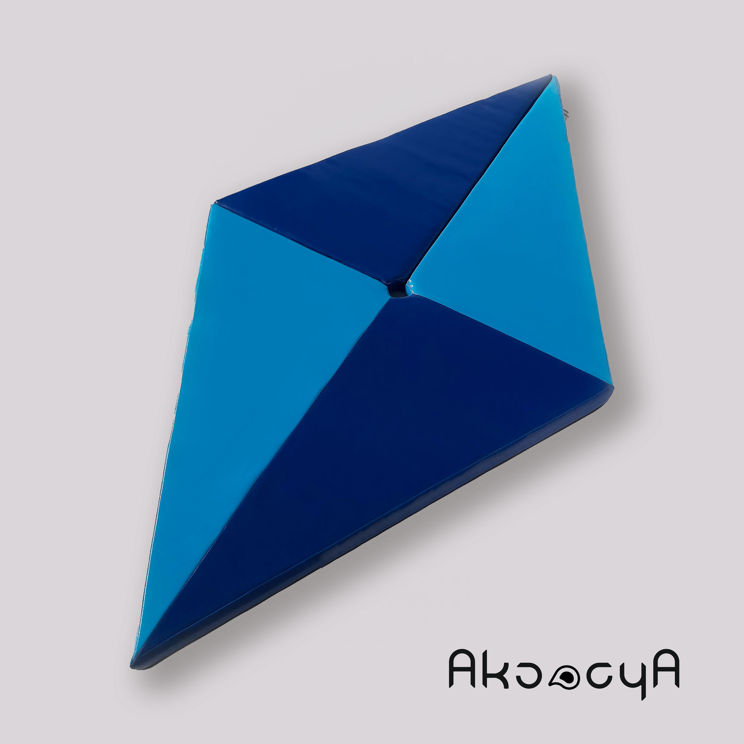 تشک پُل دَنس (Pole dance)