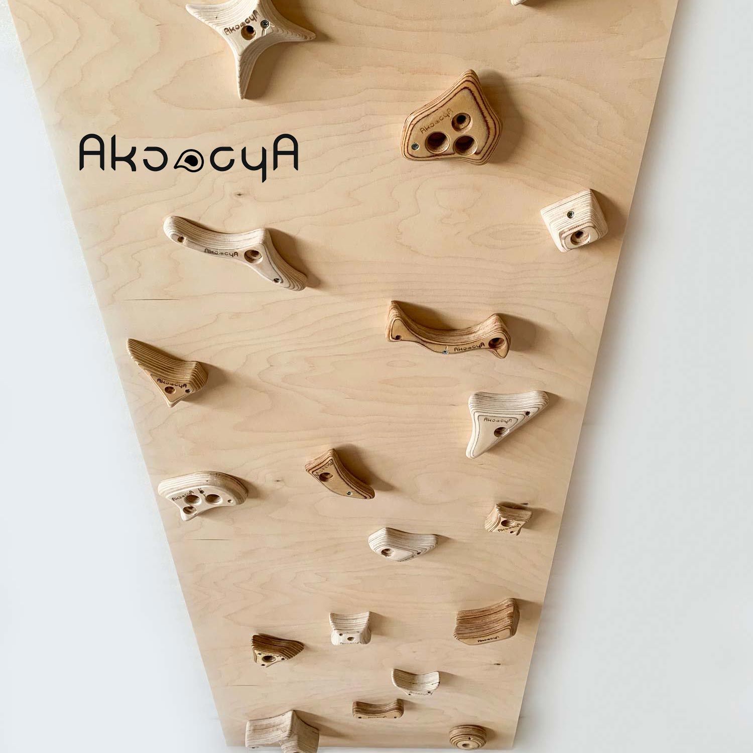 نمونه دیواره