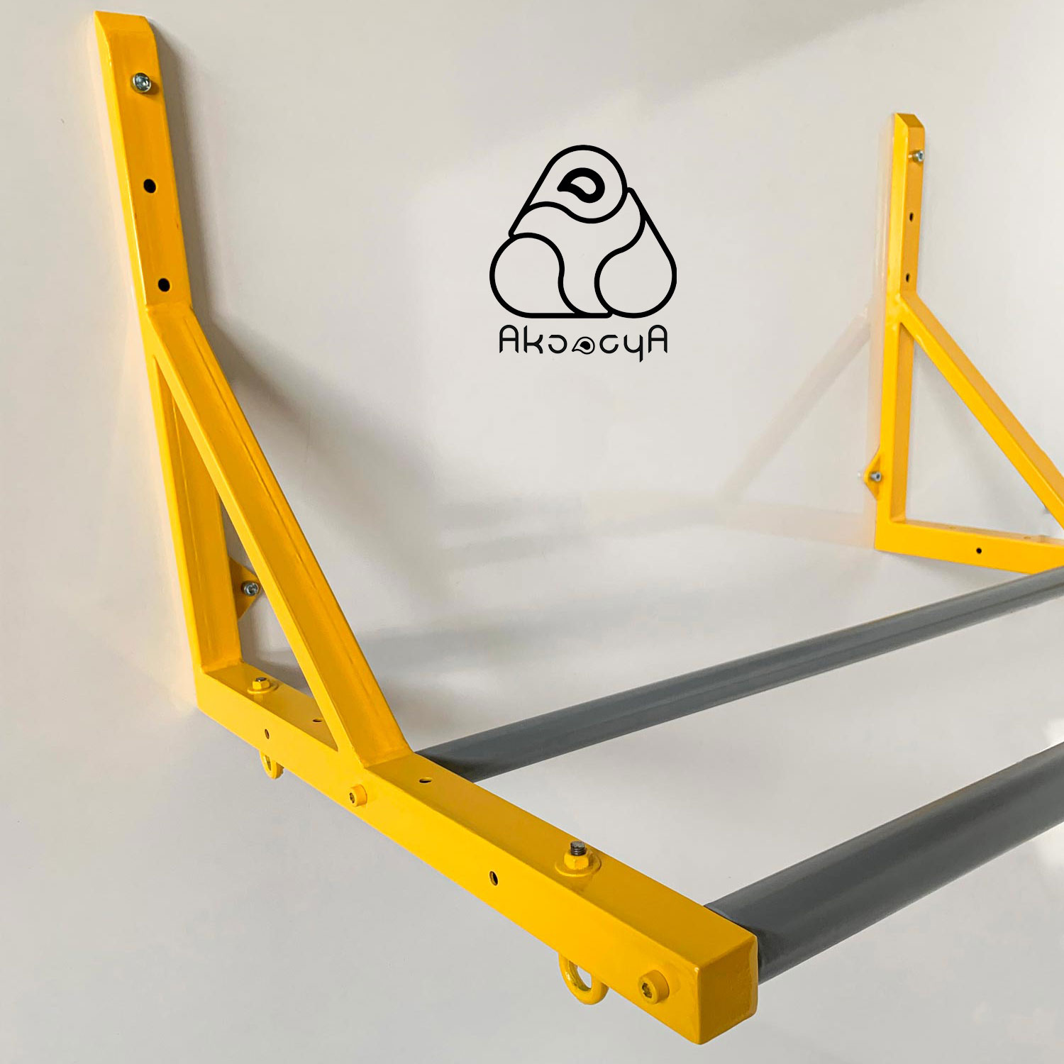 بارفیکس دیواری دوبل