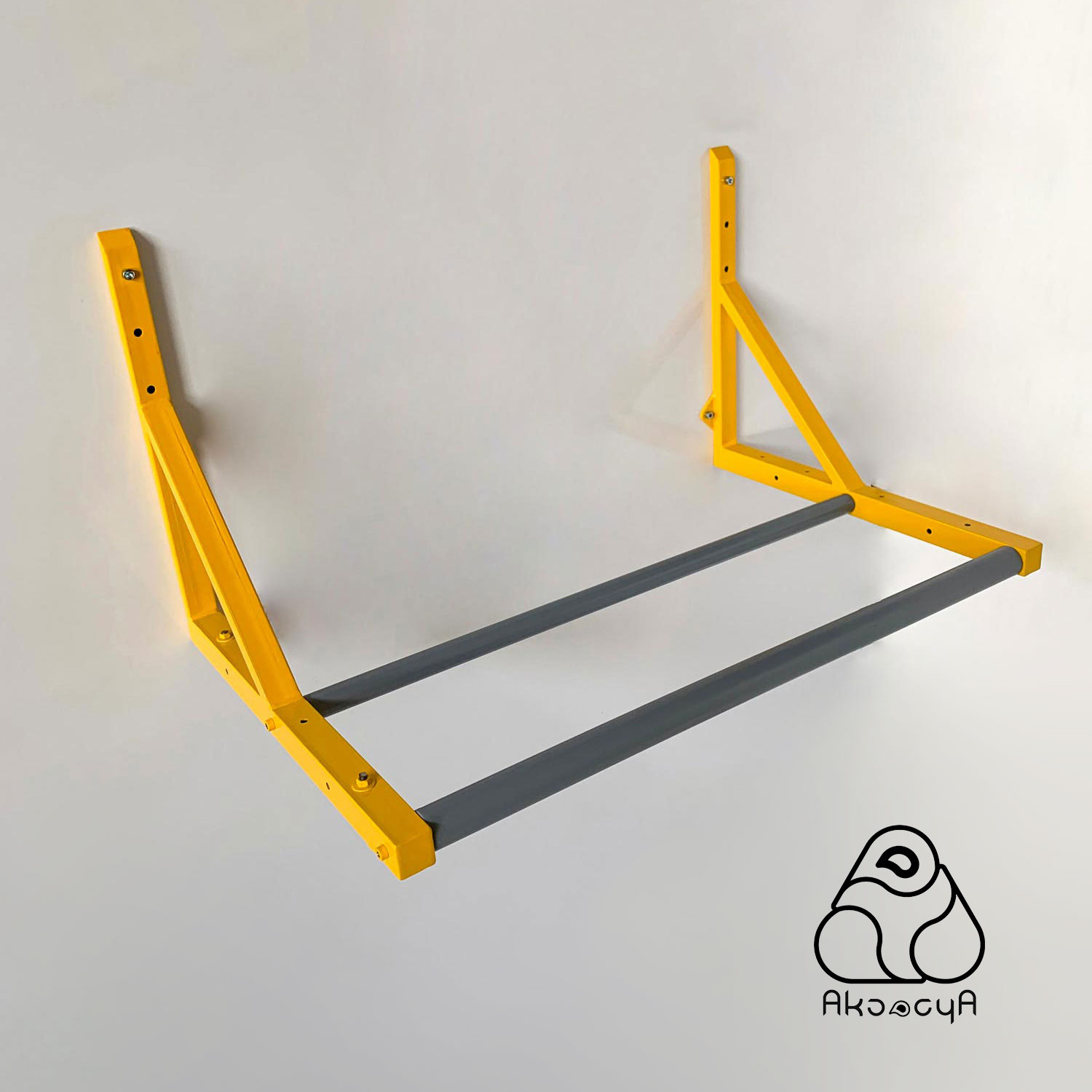 بارفیکس دیواری